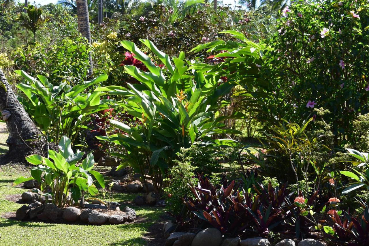 Island Breeze Fiji Savusavu Exterior foto